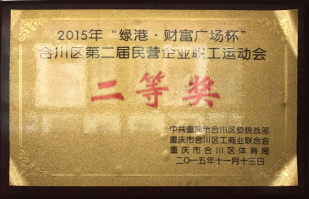 2015年合川區(qū)第二屆民營企業(yè)職工運動會